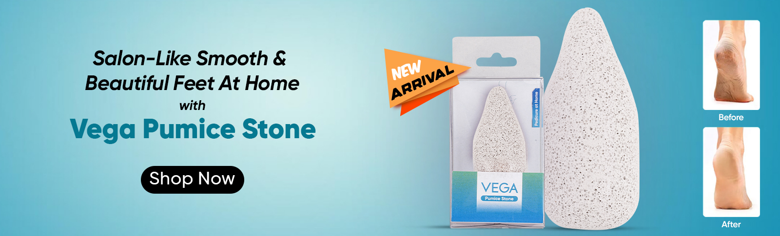 Vega Pumice Stone