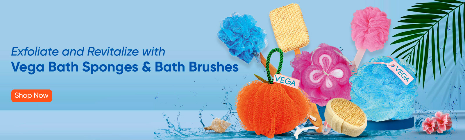 Vega Bath Sponges & Bath Brushes