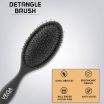 ThumbnailView 1 : Oval Cushion Detangle Hair Brush - VPMHB-9 | Vega