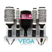 ThumbnailView : Professional Hair Brushes Set - PHBS-01 | Vega
