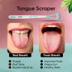 ThumbnailView 5 : Tongue-Scraper | Vega