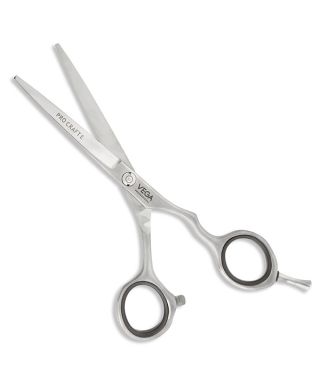 Pro Craft E 6" Silver Line Hairdressing Scissor - VPVSC-21
