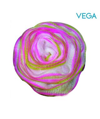 The Rose Sponge - BA-3/14