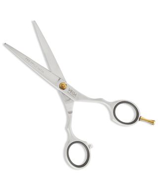 Pro Style Satin 5.5" Silver line Hairdressing Scissor - VPMSC-10