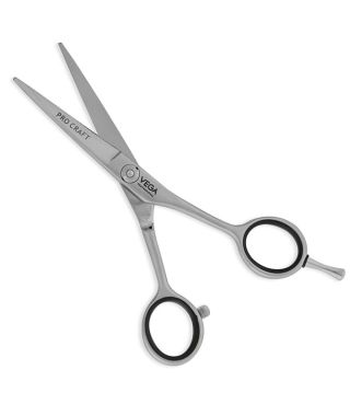 Pro Craft 5.5" Silver line Hairdressing Scissor - VPVSC-17