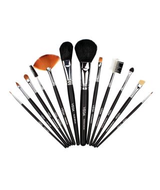 Set of 12 Brushes