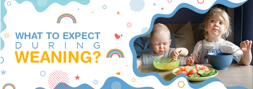 Know about weaning, its types, and what to expect during weaning
