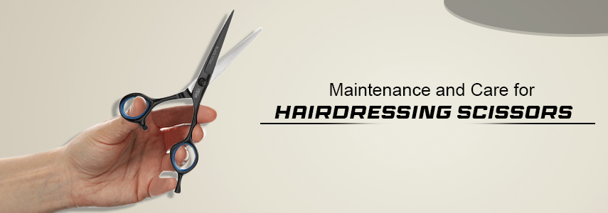 How to Maintain and Care for Professional Hairdressing Scissors