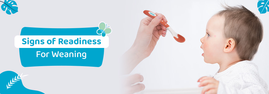 What are the Signs Your Baby is Ready for Weaning