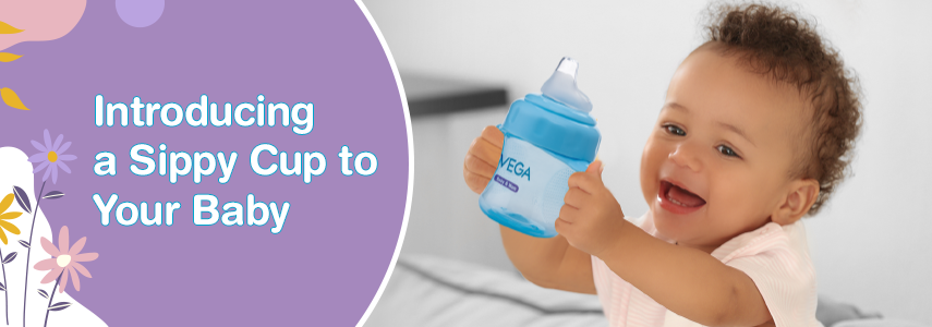 Sippy Cups for Your Baby: A Comprehensive Guide