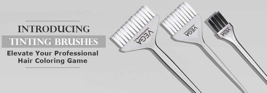 Introducing Vega Professional Tinting Brushes to Elevate Hair Coloring Game