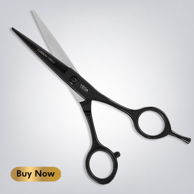 professional scissors by Vega Professional 