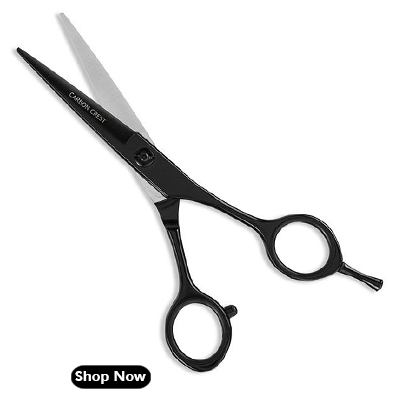 https://www.vega.co.in/professional/carbon-crest-6-black-line-hairdressing-scissor.html