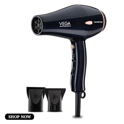 BLDC-Dryer