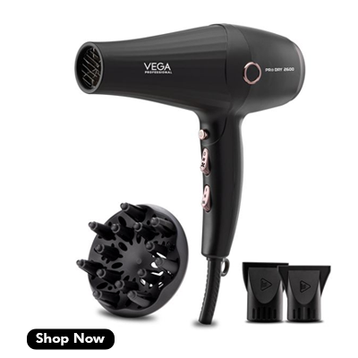 Professional Hair Dryer