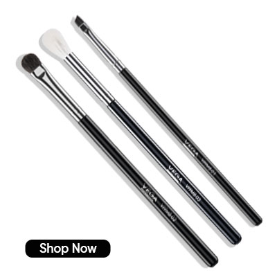 Buy Professional Makeup Brushes 