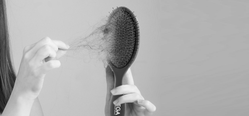 Cushion Detangle Hair Brush