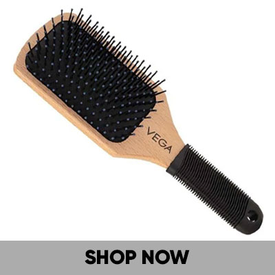 Paddle Brush-22-04-26