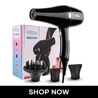 Vega Hair Dryer
