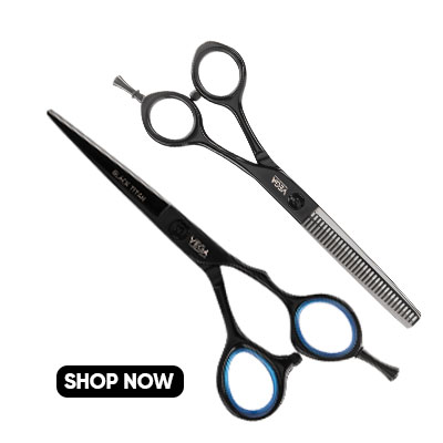 Professional- scissors