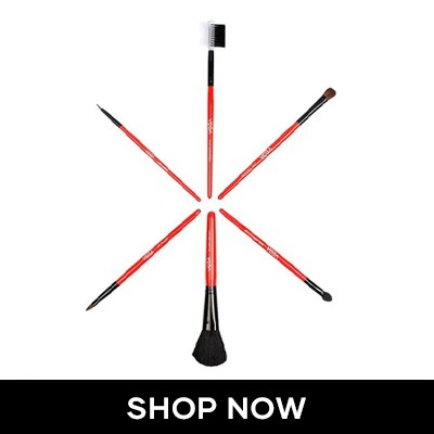 Set of 6 Makeup Brushes