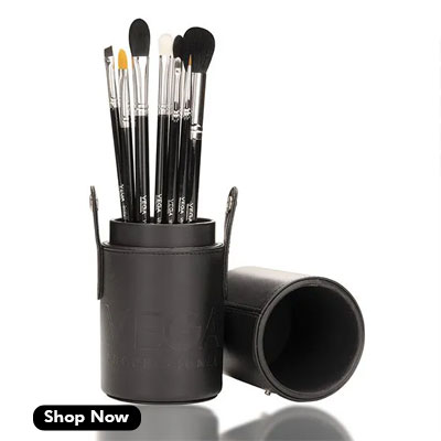 Vega Professional Makeup Brush Set