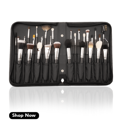 Vega-Professional-Makeup-Brush-Set