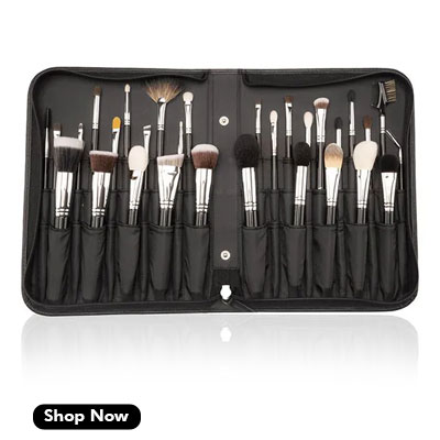 Vega-Professional-Makeup-Brush-Set of 30 