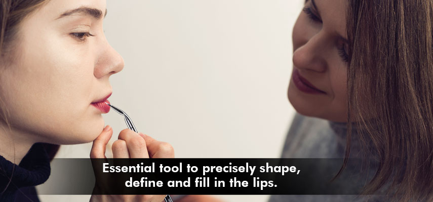 Vega Professional Angled Lip Brush