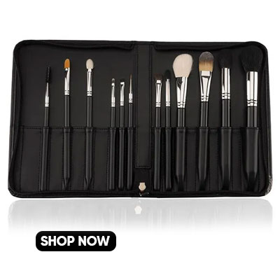 Vega Professional Makeup Brush Set