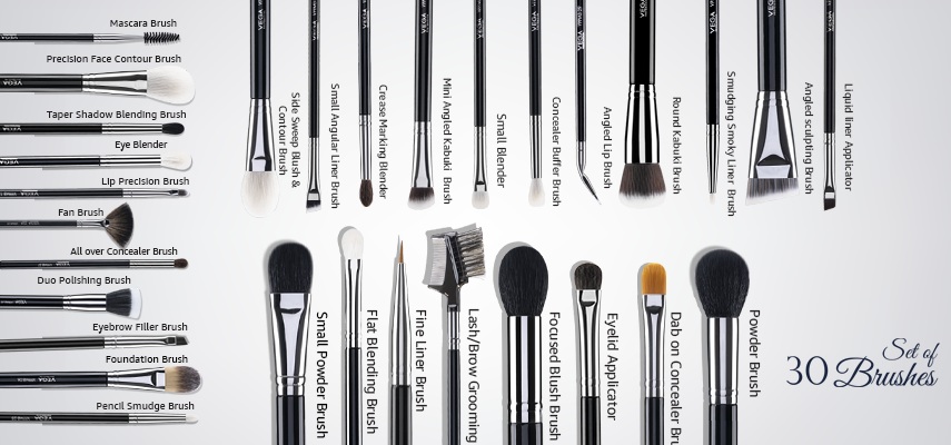Vega Professional Makeup Brush Set of 30-14-01-2025