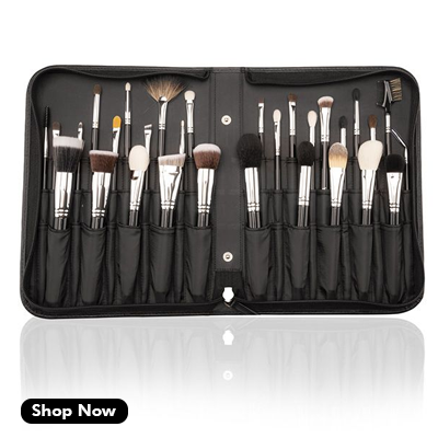 Vega Professional Makeup Brush Set of 30