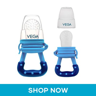  Vega Baby & Mom Silicone Fresh Fruit Feeder